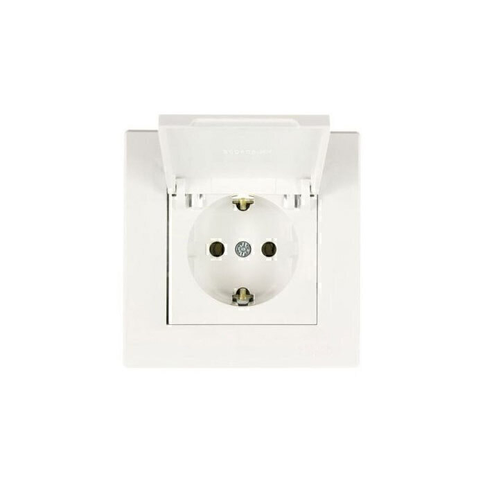 P10003-C0_I1 پریز درب دار اشنایدر سری ASFORA - تصویر 1