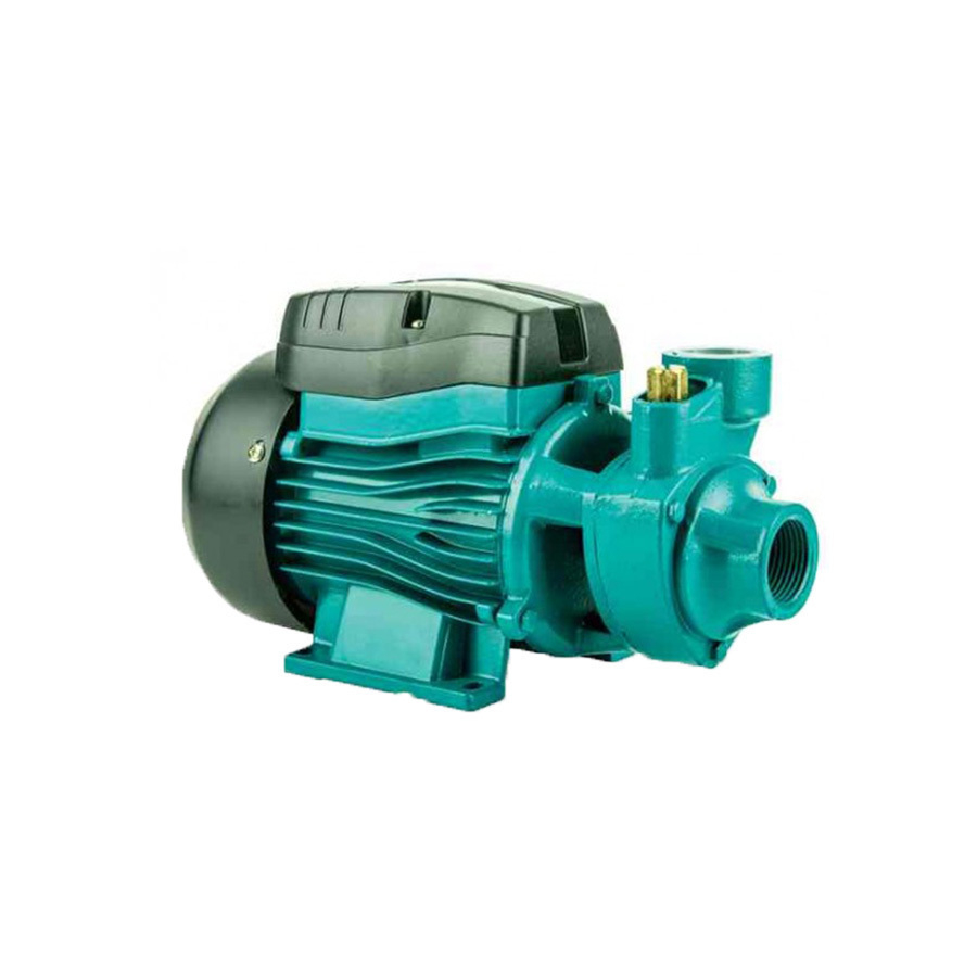 P10798-C0_I1 پمپ محیطی نیم اسب بخار مدل QB-60 کالمو - تصویر 1