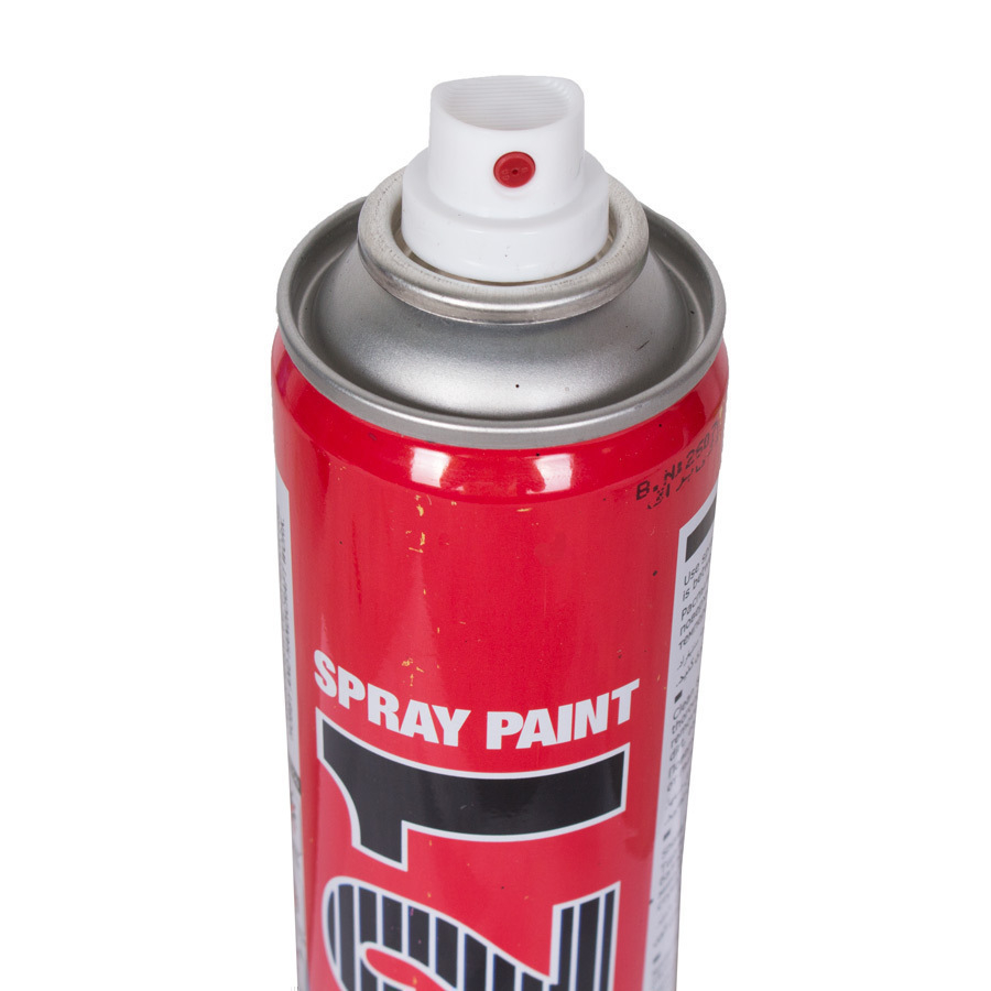 P13112-C0_I1 اسپری رنگ 321 - تصویر 1