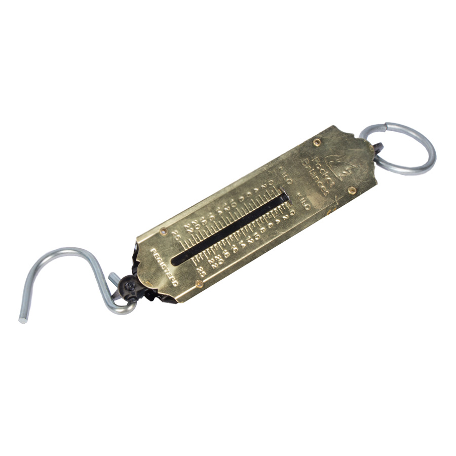 P15953-C0_I1 ترازو آویز مکانیکی 25 کیلوگرمی درجه یک - تصویر 1