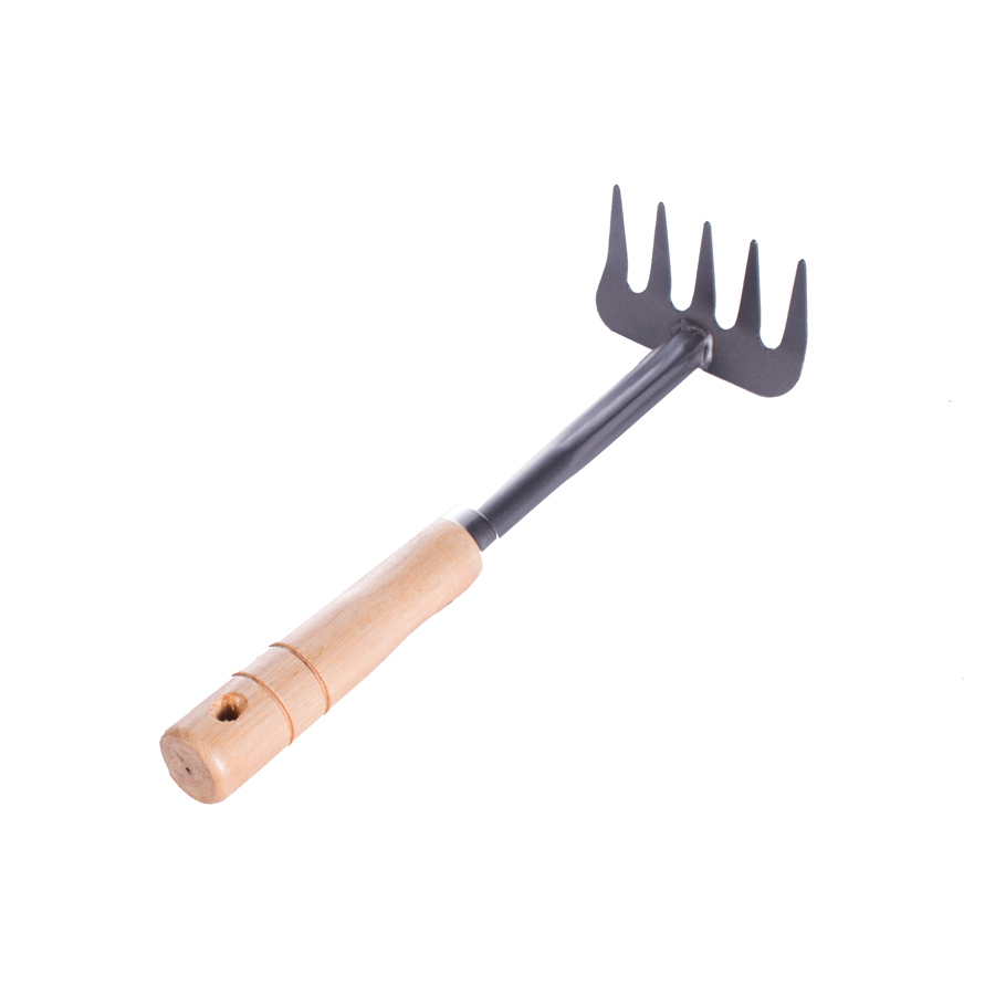 P17165-C0_I1 شن کش کوچک باغبانی دسته چوبی - تصویر 1