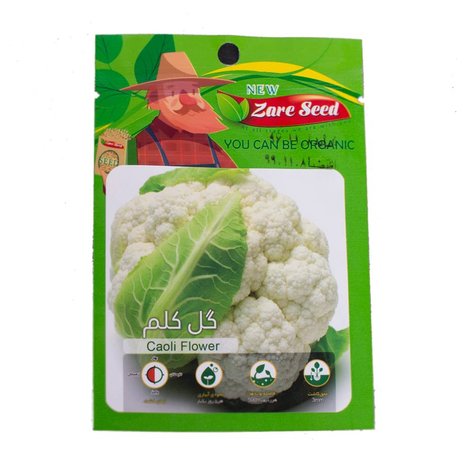 P17171-C0_I1 بذر گل کلم زر سید - تصویر 1