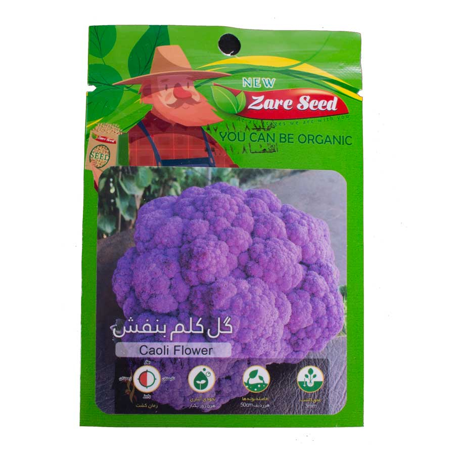 P17220-C0_I1 بذر گل کلم بنفش زر سید - تصویر 1