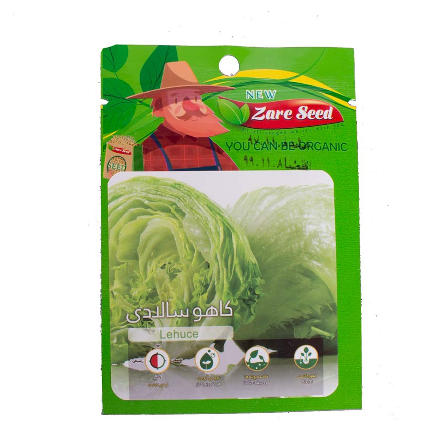 P17240-C0_I1 بذر کاهو سالادی - تصویر 1