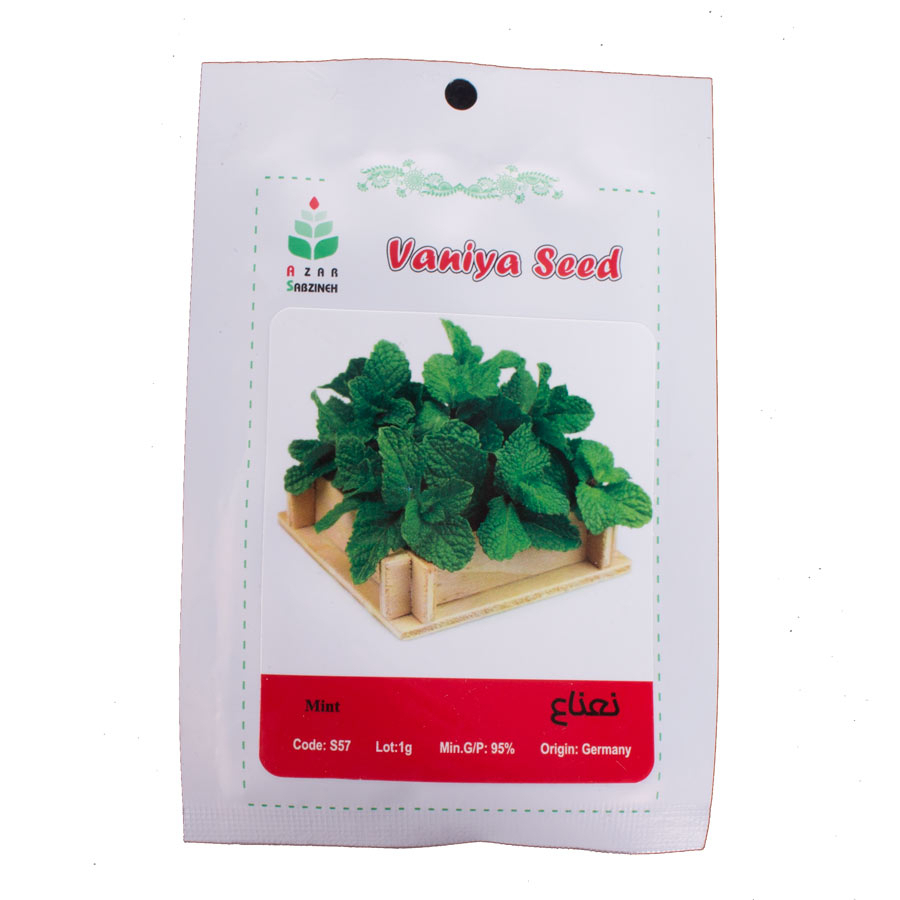 P17251-C0_I1 بذر نعناع آذر سبزینه کد S57 - تصویر 1