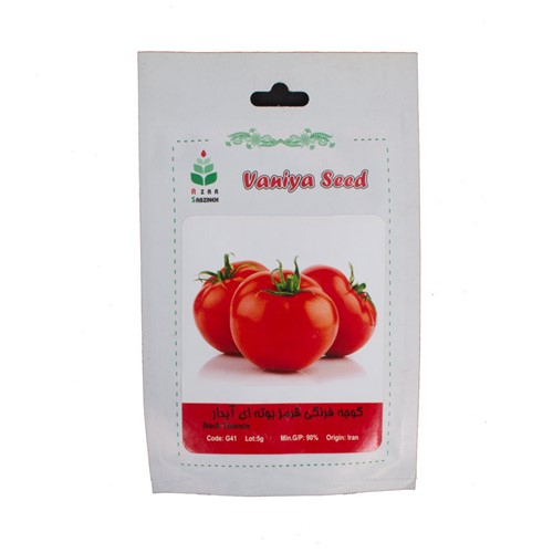 P17269-C0_I1 بذر گوجه فرنگی قرمز بوته ای آبدار آذر سبزینه Q41 - تصویر 1