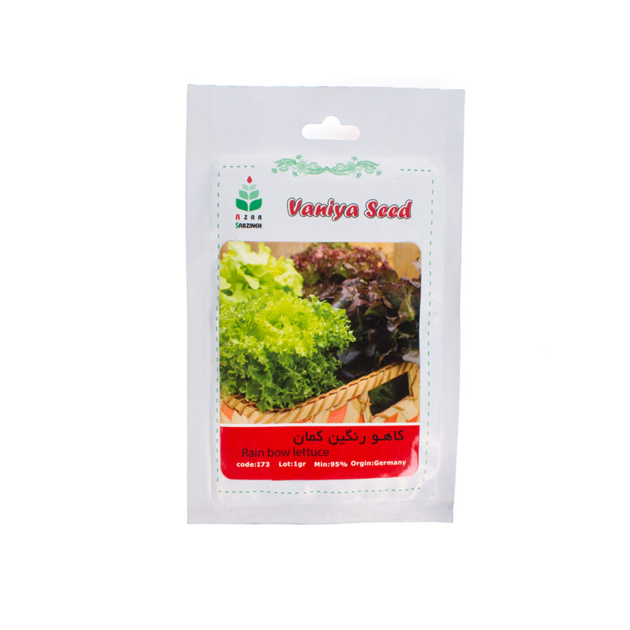 P17275-C0_I1 بذر کاهو رنگین کمان آذر سبزینه I73 - تصویر 1
