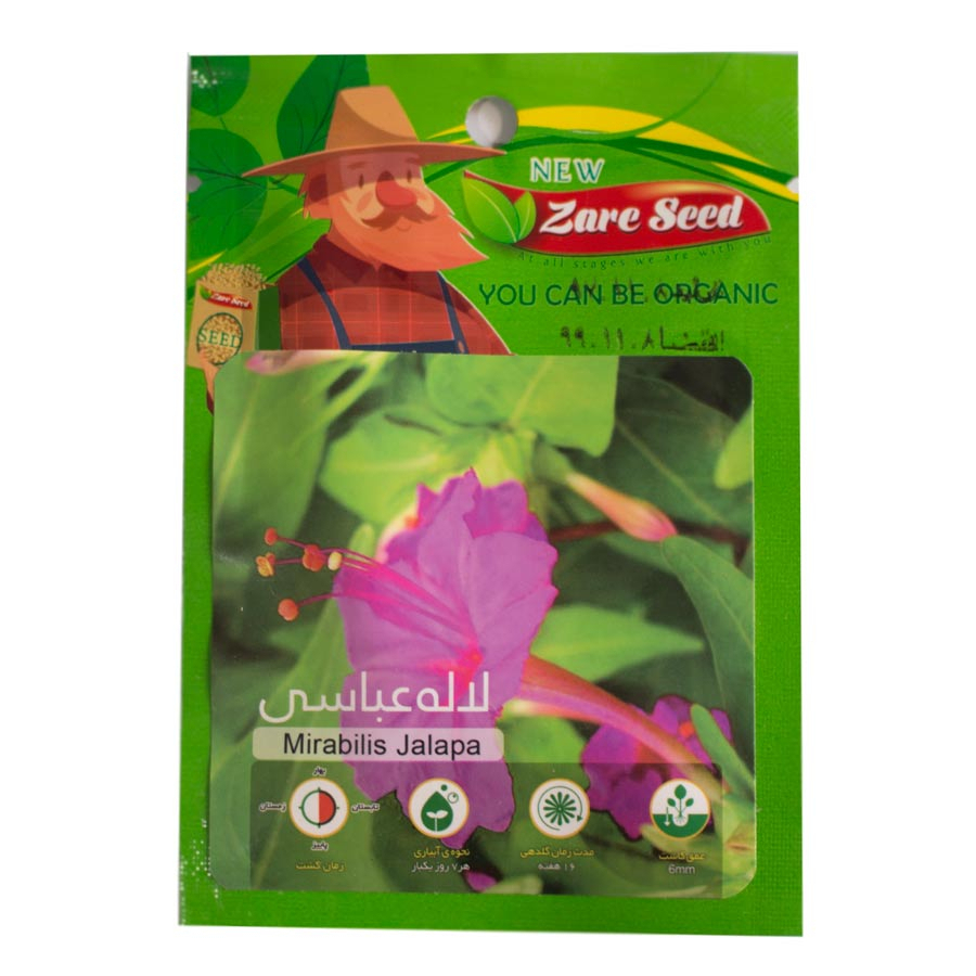 P17324-C0_I1 بذر لاله عباسی زر سید - تصویر 1