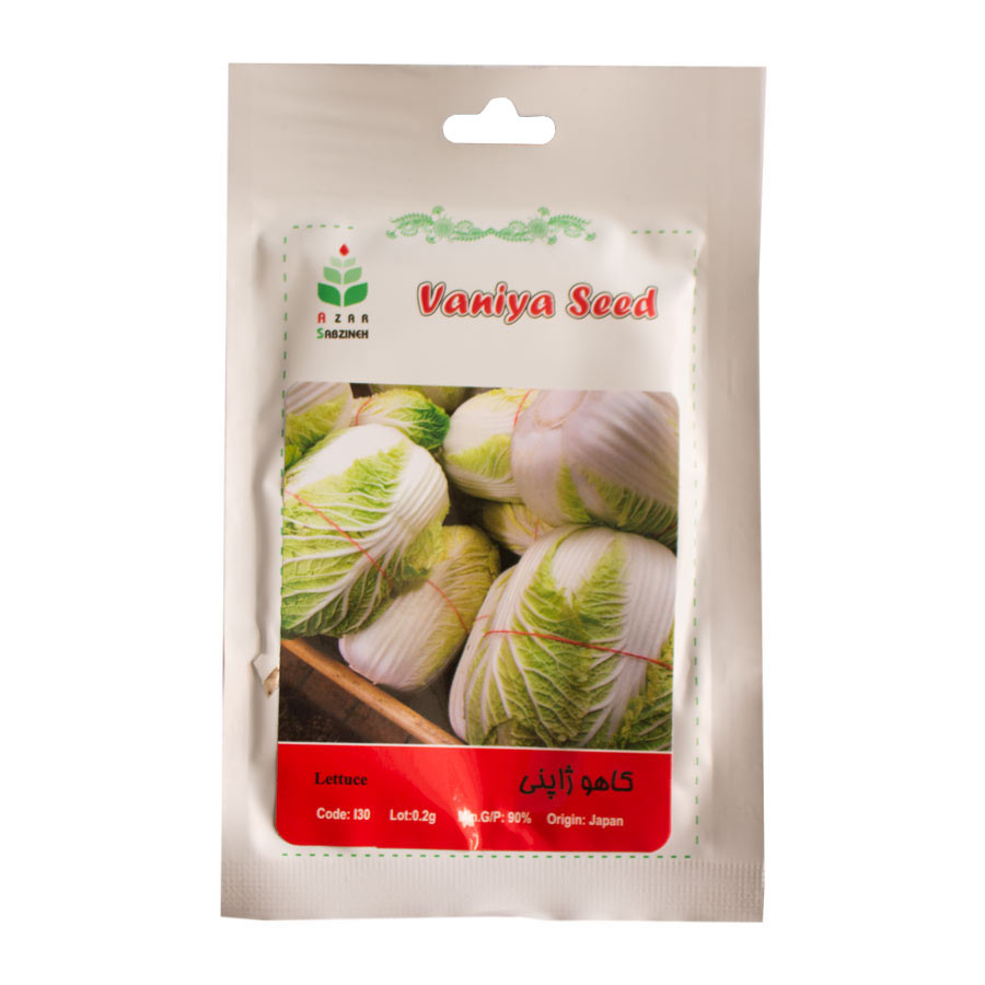 P17327-C0_I1 بذر گل کاهو ژاپنی آذر سبزینه کد L30 - تصویر 1