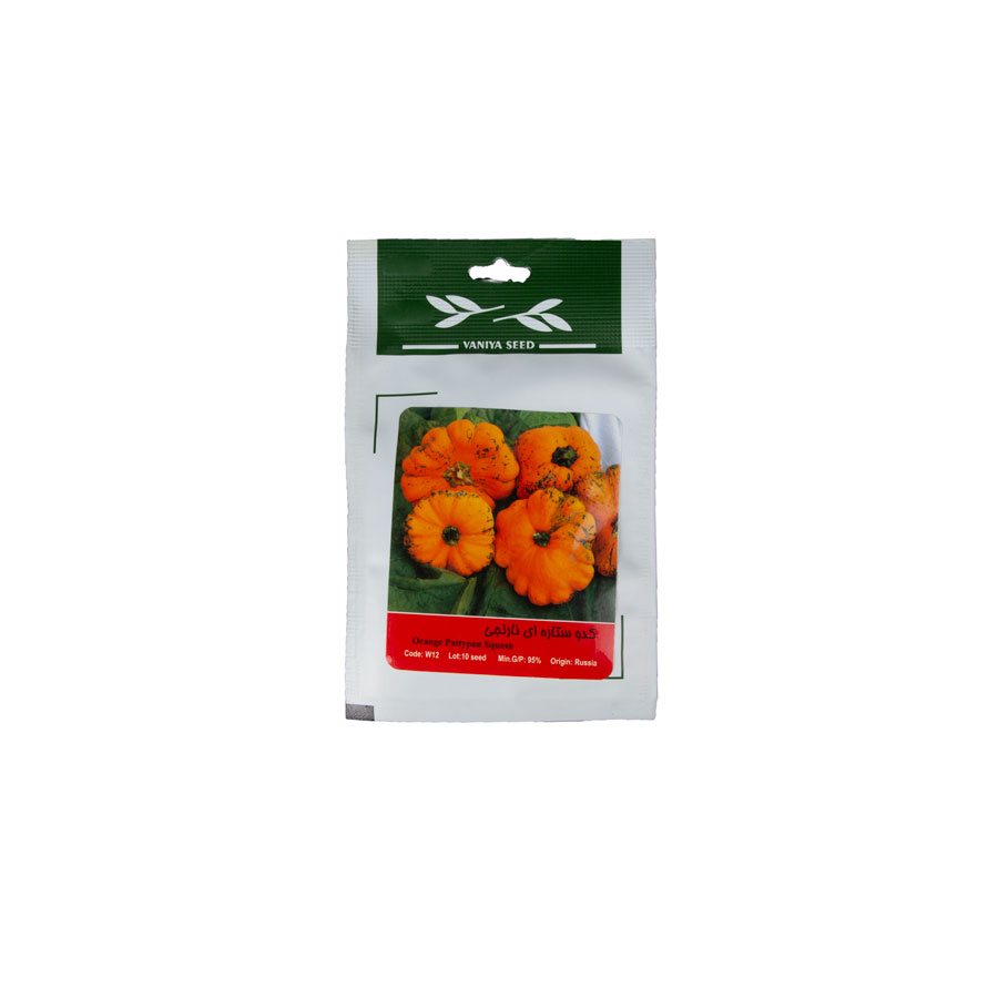 P23934-C0_I1 بذر کدو ستارهای - تصویر 1