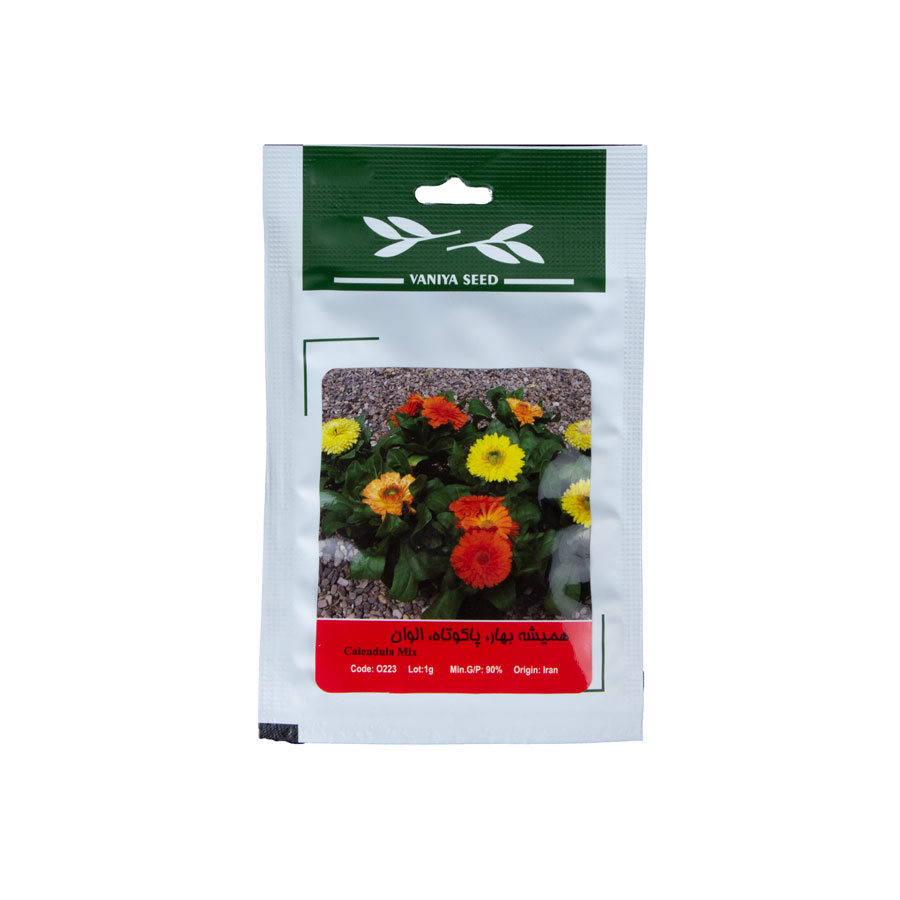 P23935-C0_I1 بذر همیشه بهار، پاکوتاه، الوان - تصویر 1