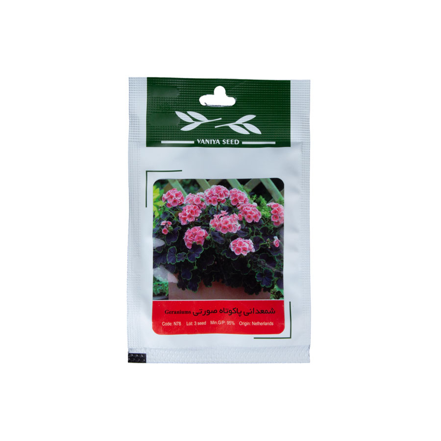 P23949-C0_I1 بذر گل شمعدانی، پاکوتاه، صورتی - تصویر 1