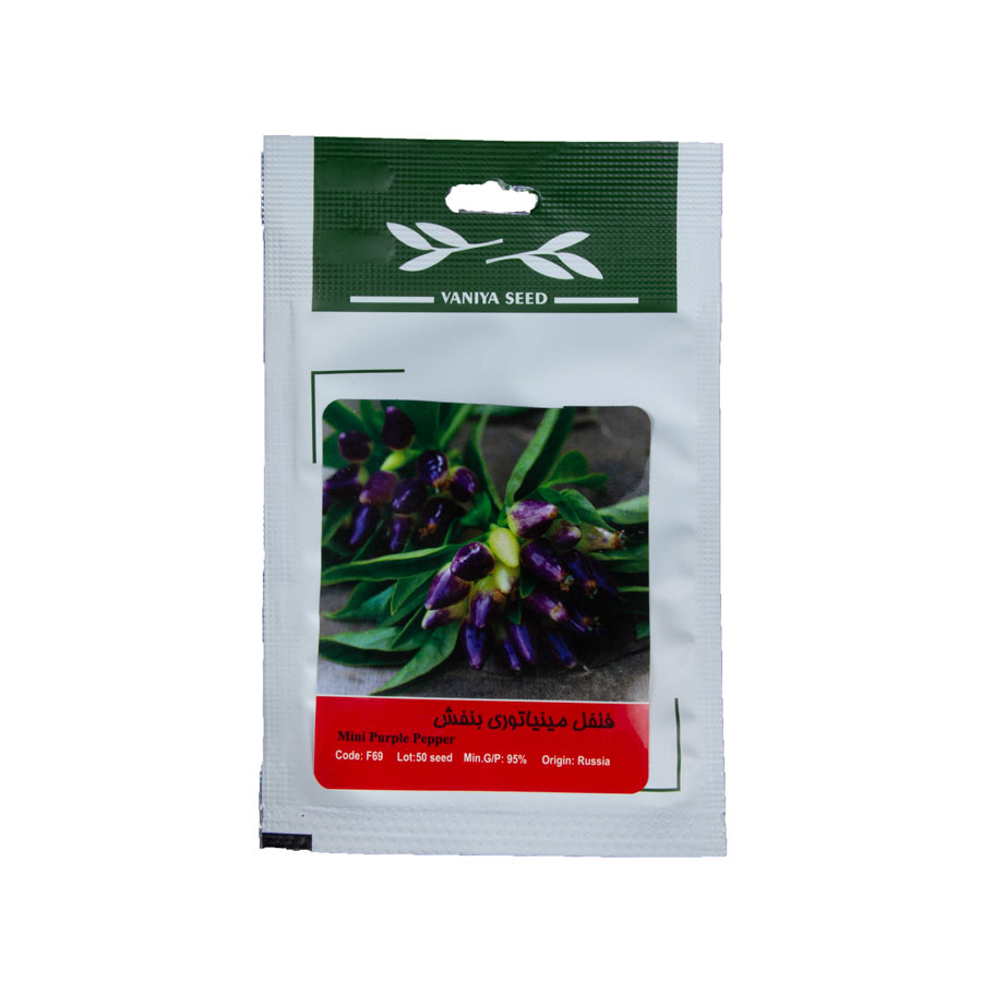 P23951-C0_I1 بذر فلفل مینیاتوری بنفش - تصویر 1