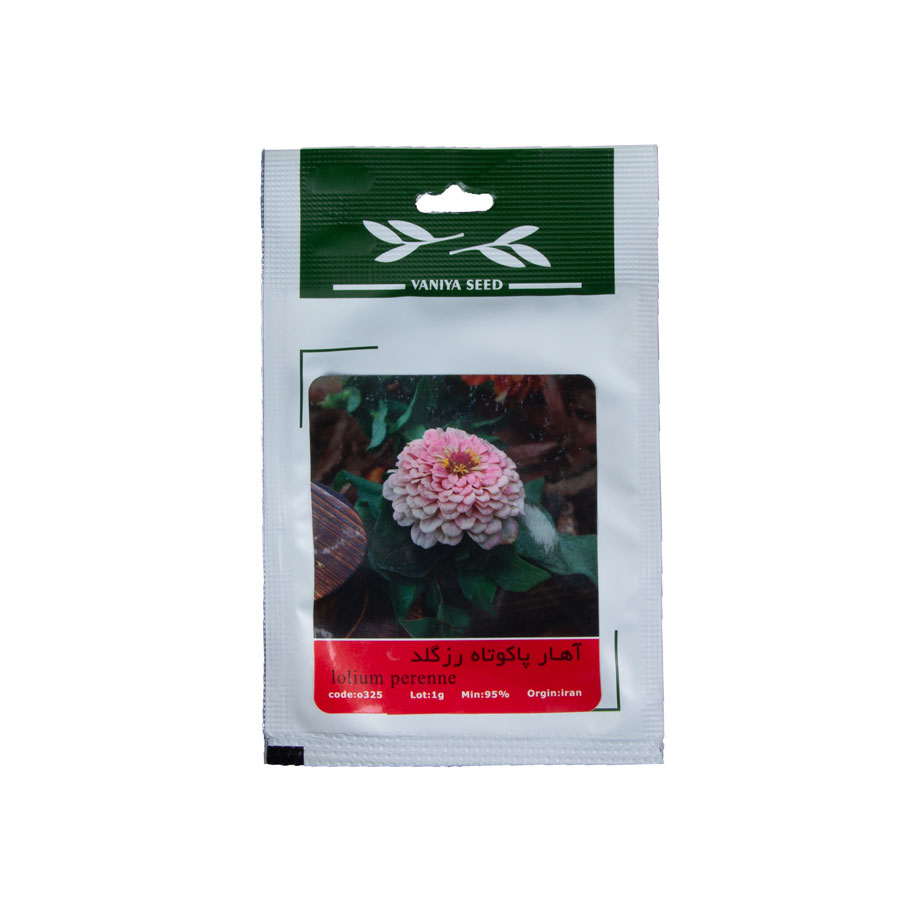 P23952-C0_I1 بذر گل آهار پاکوتاه، رزگلد - تصویر 1