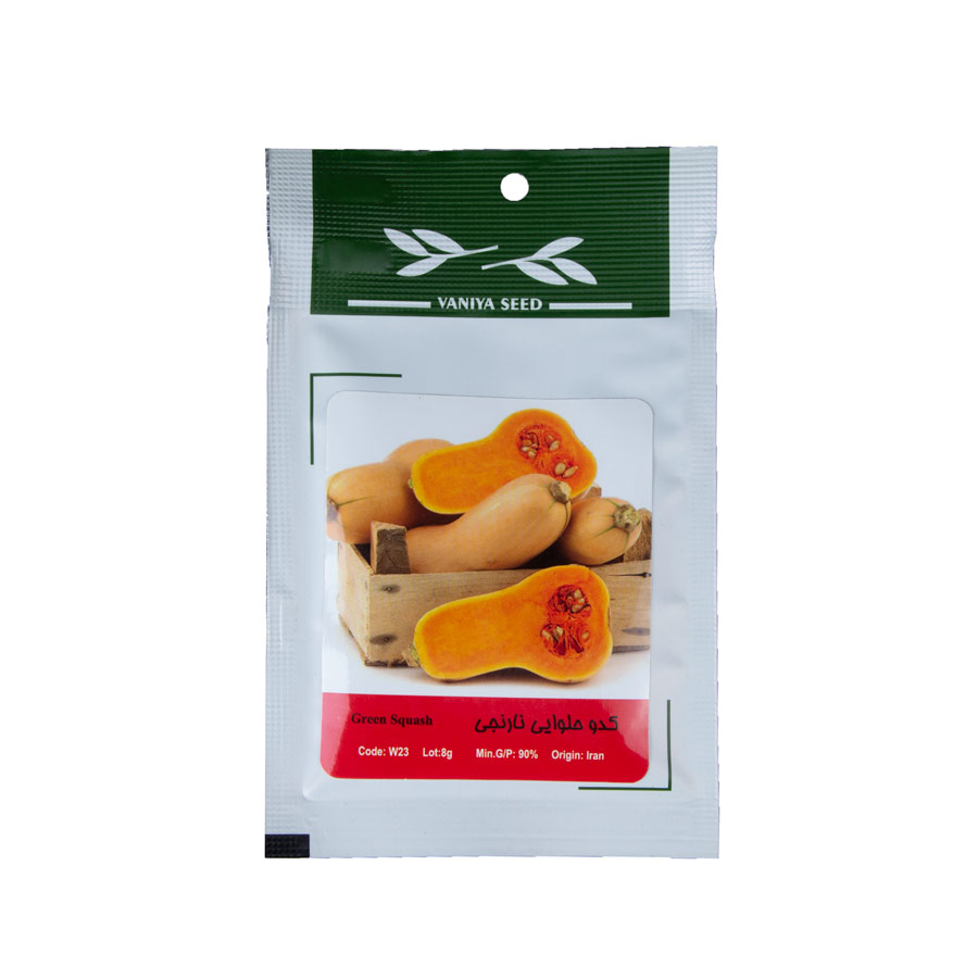 P23953-C0_I1 بذر کدو حلوایی نارنجی - تصویر 1
