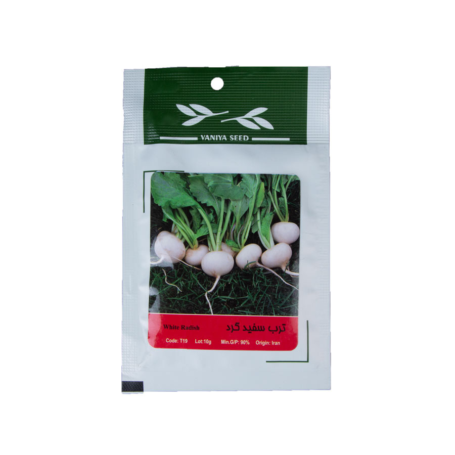 P23964-C0_I1 بذر ترب سفید گرد - تصویر 1