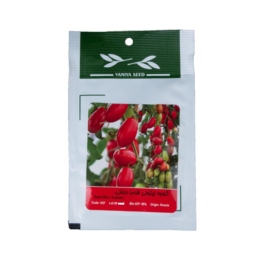 P23966-C0_I1 بذر گوجه زیتونی قرمز درختی - تصویر 1