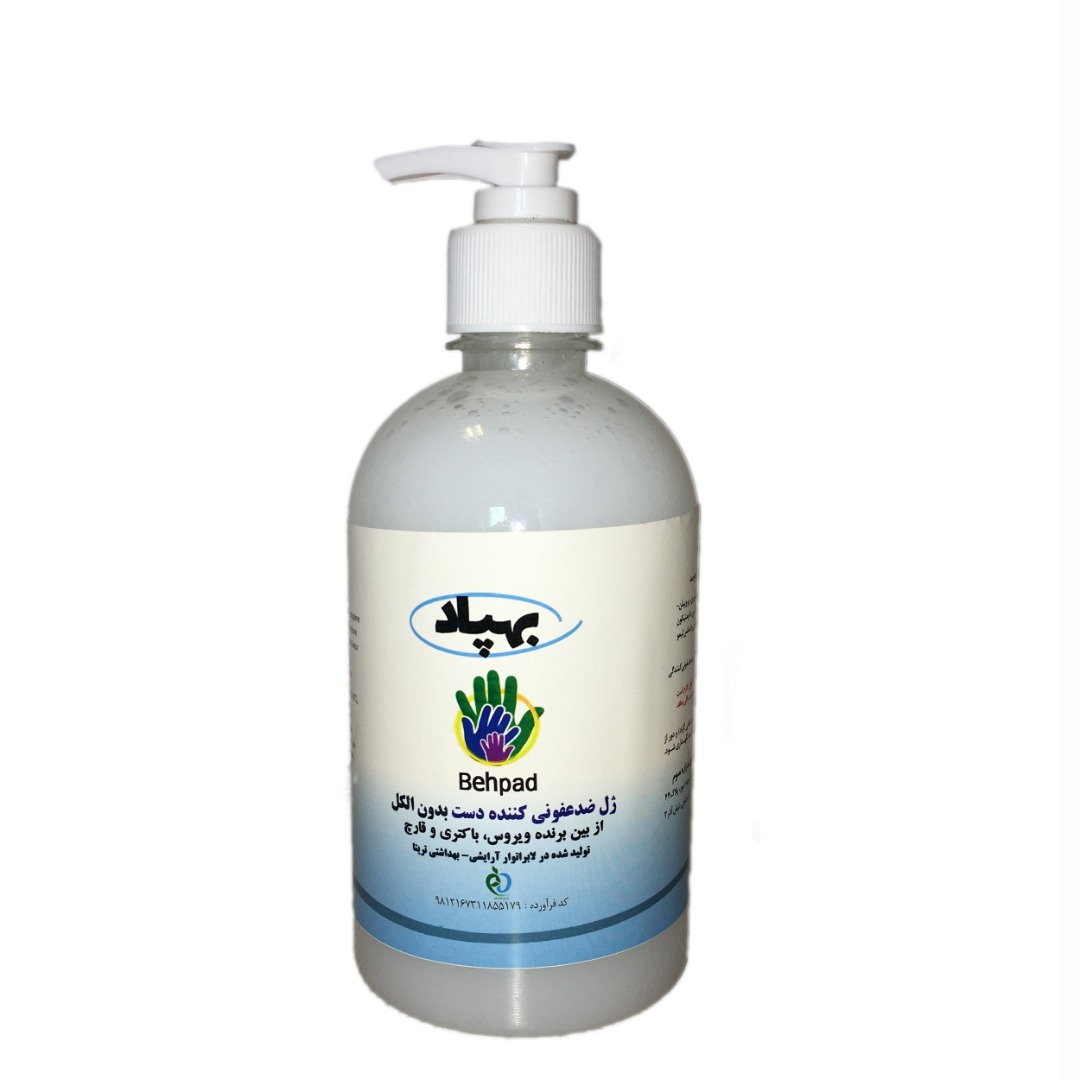 P24307-C0_I1 ژل ضدعفونی کننده دست پمپی 250 میلی لیتر - تصویر 1