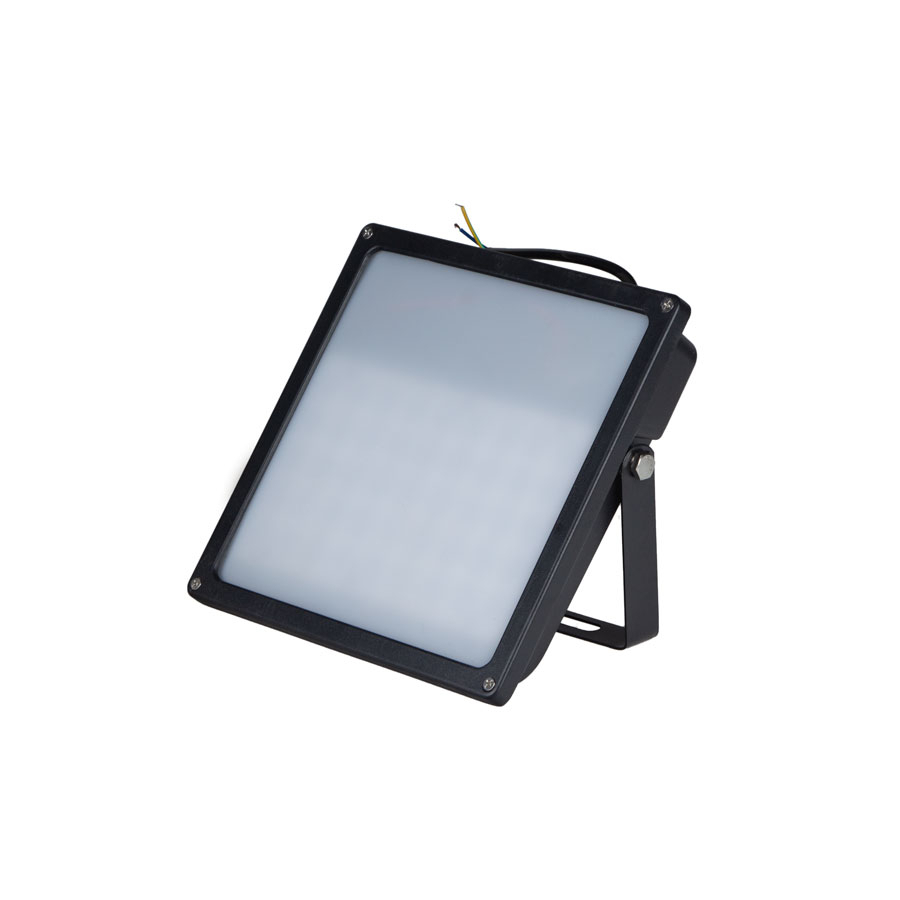 P25662-C0_I1 پروژکتور ال ای دی 50 وات - بی باکس - تصویر 1