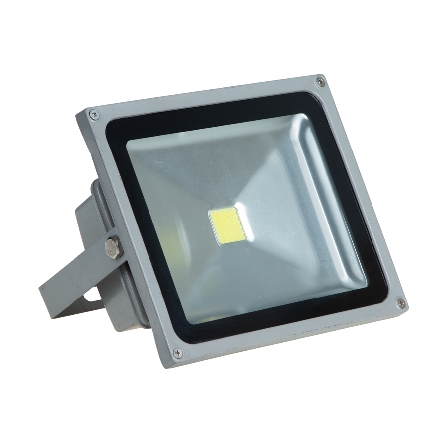 P25982-C0_I1 پروژکتور 30 وات - بی باکس - تصویر 1