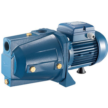 P5890-C0_I1 پمپ آب مدل CAM100/00 پنتاکس - تصویر 1