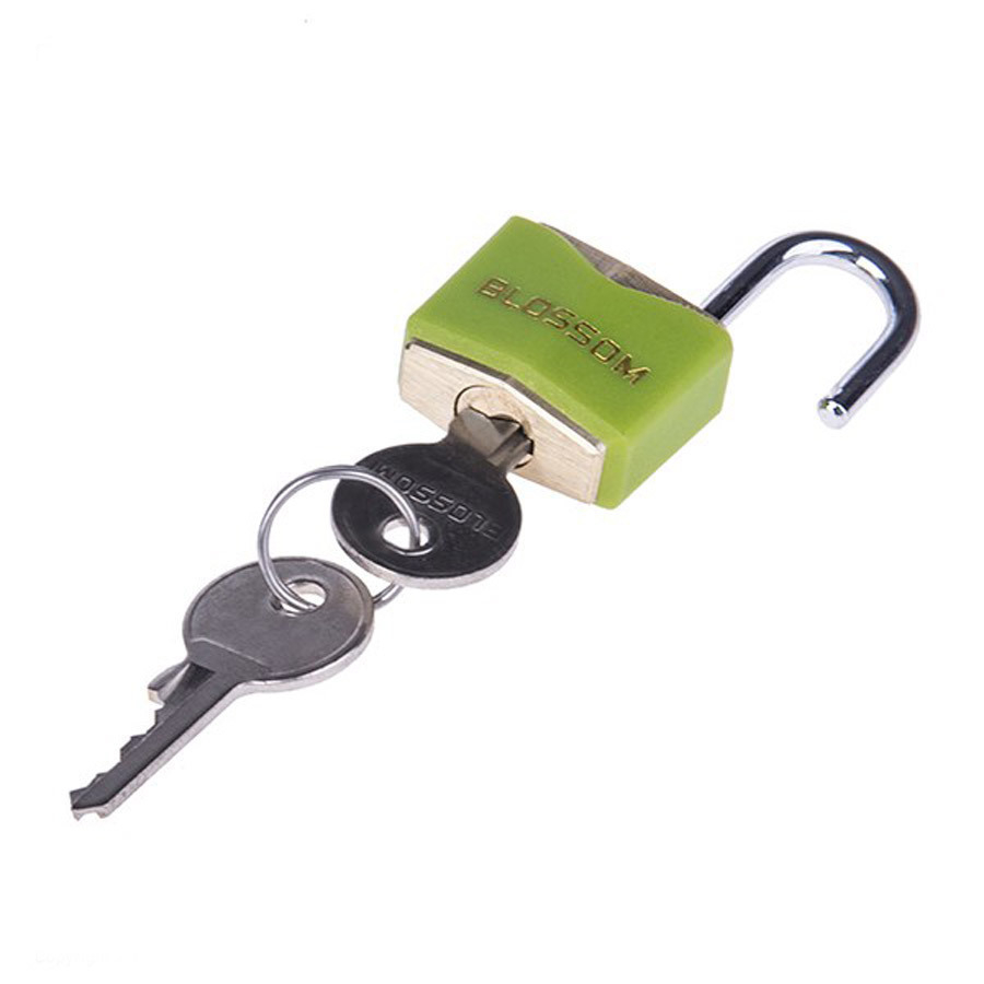 P8804-C0_I1 قفل آویز مدل 9820 بلاسام - تصویر 1