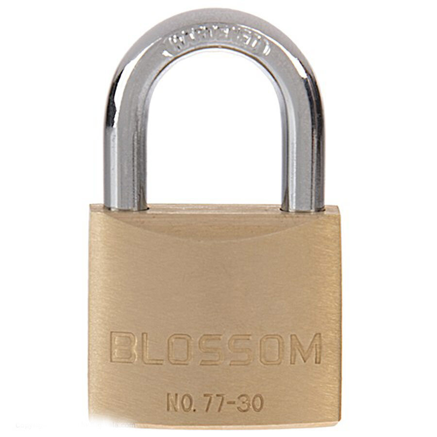 P8805-C0_I1 قفل آویز مدل bc77-3011912 بلاسام - تصویر 1