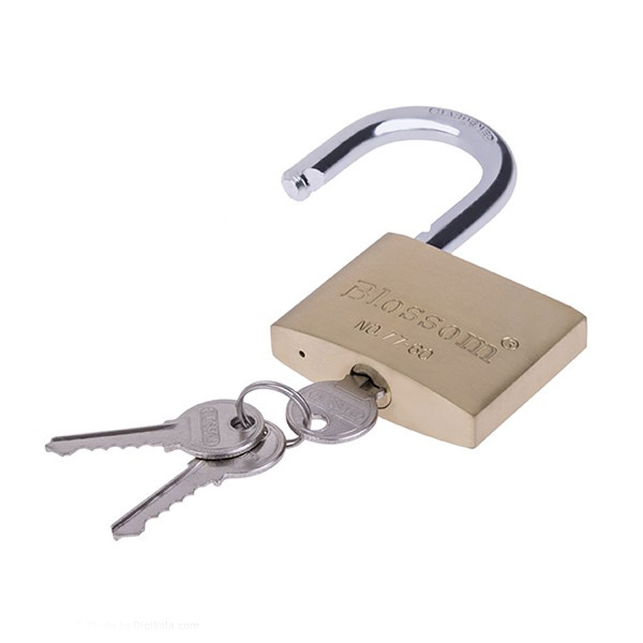 P8848-C0_I1 قفل آویز مدل bc7711915 بلاسام - تصویر 1